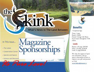 magazine sponsors