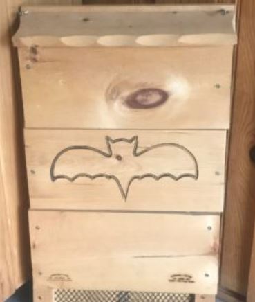 You can purchase bat boxes from The Land Between for $60 by clicking this photo!