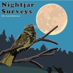 NightjarSurveys poster (2)
