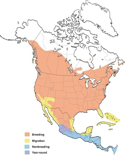 Range Map Source: https://www.allaboutbirds.org/guide/barn_swallow