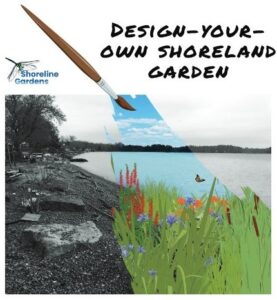 Design Your Own Shoreland Garden square