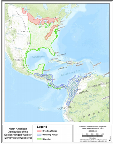 Map taken from Wildlife Species Canada: https://wildlife-species.canada.ca/species-risk-registry/virtual_sara/files/plans/Rs-GoldenWingedWarbler-v00-2016Aug05-Eng.pdf