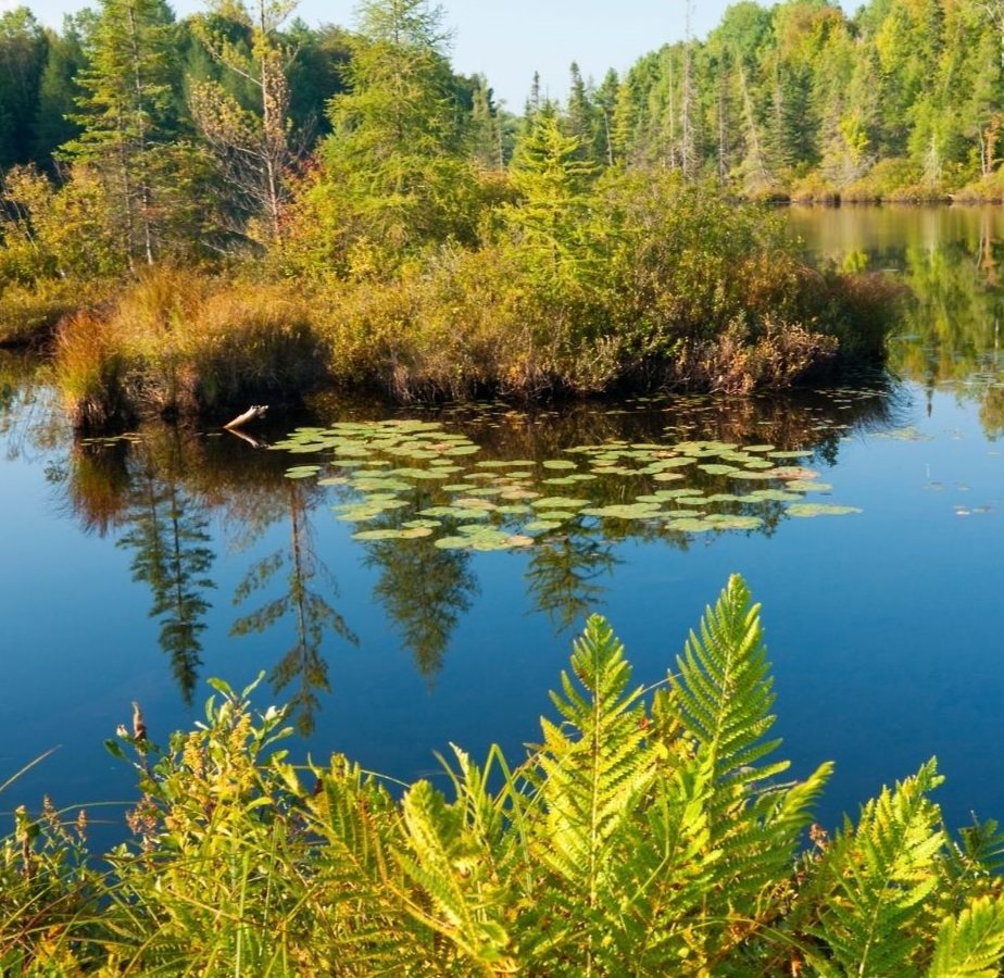 Untitled (Menu) (Facebook Cover)