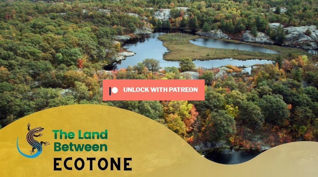 The Land Between Ecotone
