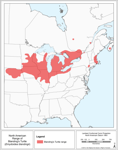 Map taken from Government of Canada: https://www.registrelep-sararegistry.gc.ca/virtual_sara/files/plans/rs_blandings_turtle_e_proposed.pdf