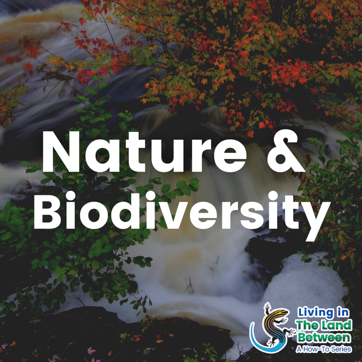 Nature and biodiversity pin