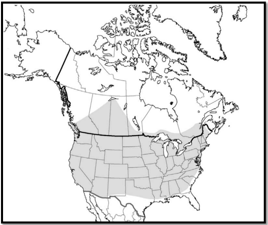 Map taken from Government of Canada: https://wildlife-species.canada.ca/species-risk-registry/virtual_sara/files/cosewic/sr_Nine-spotted%20Lady%20Beetle_2016_e.pdf