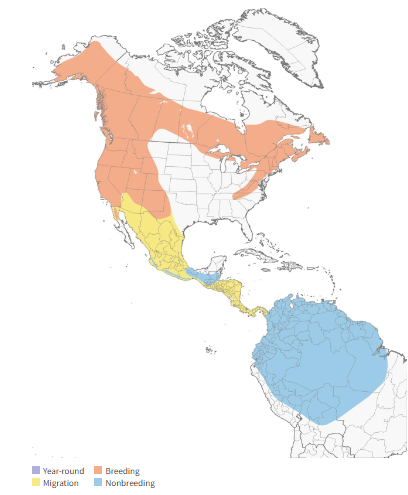 Map taken from Cornell Lab: https://www.allaboutbirds.org/guide/Olive-sided_Flycatcher/maps-range
