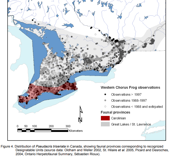 Canadian Range- both maps taken from the Government of Canada: https://www.registrelep-sararegistry.gc.ca/virtual_sara/files/cosewic/sr_western_chorus_frog_0808_e.pdf