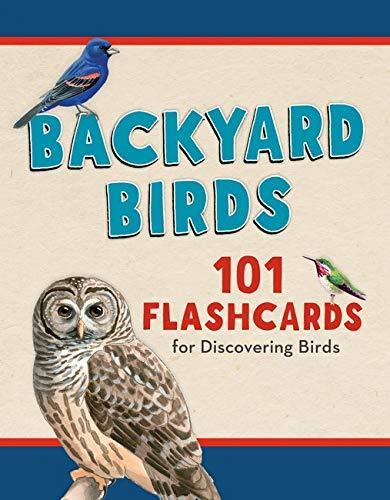 Backyard Birds Flashcards