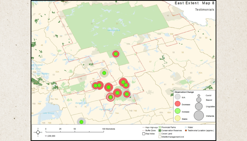 wolf and canid talking circles (1)