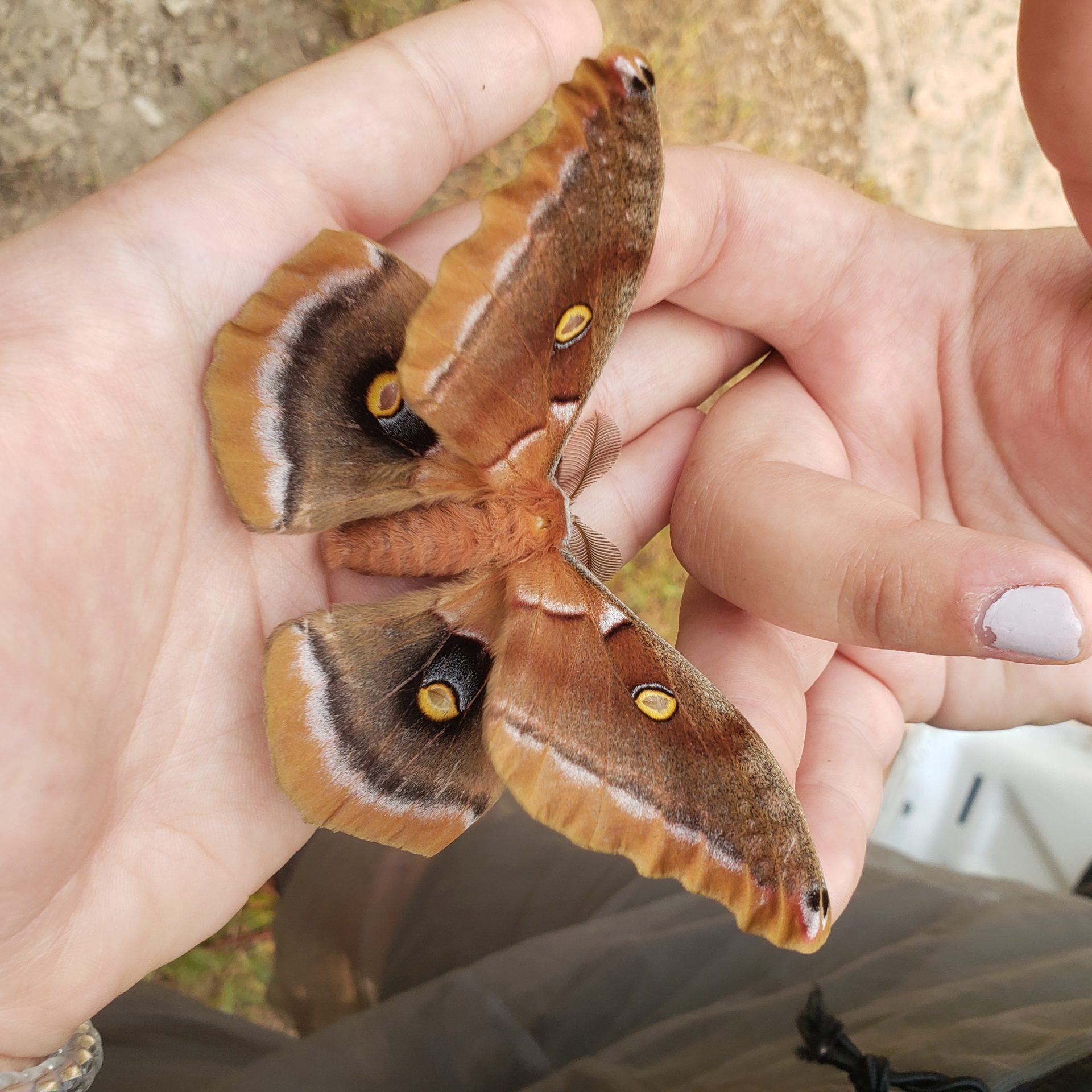 20230603_091622 20230603_091622