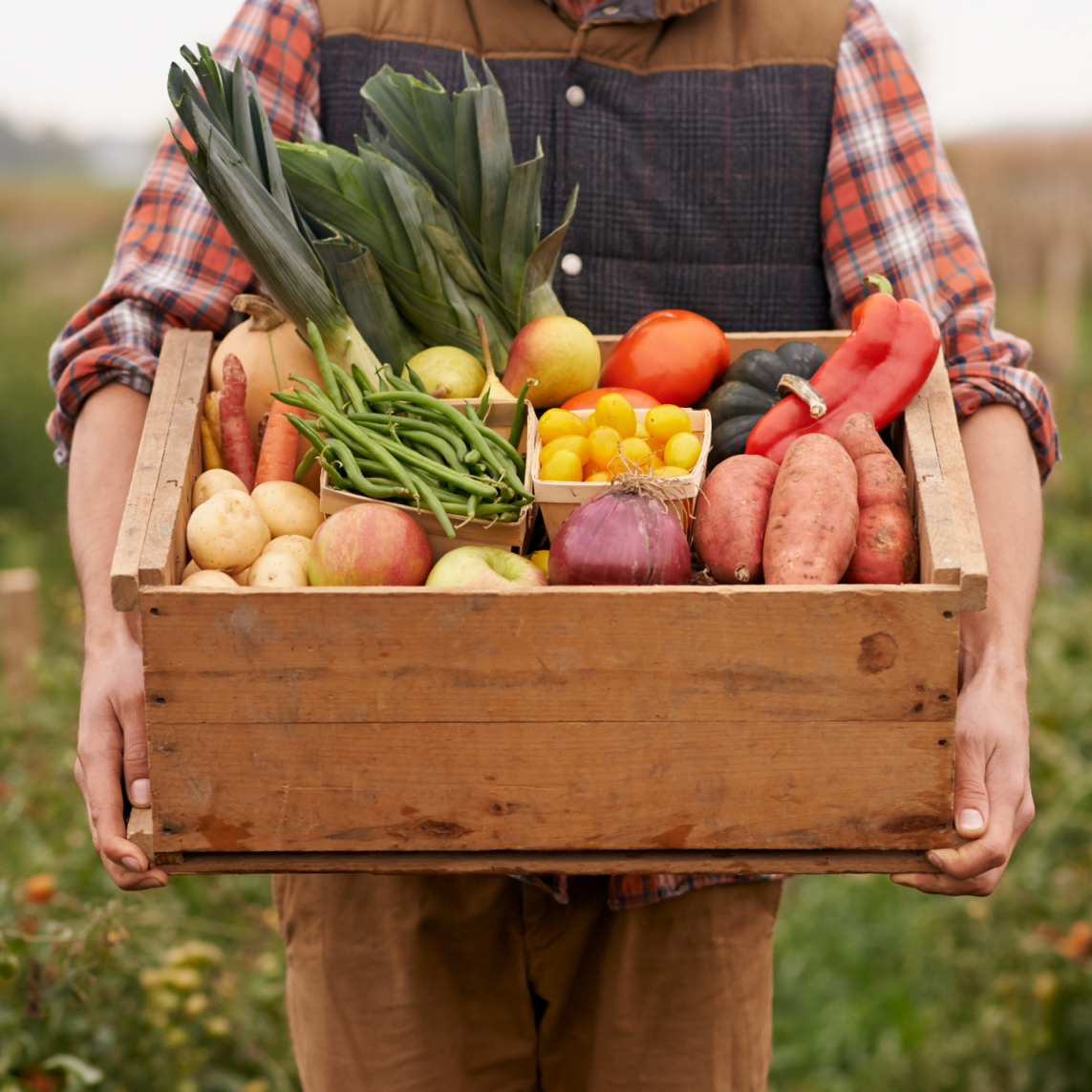 8-circle-064834c5a6de3e879c70ac7c0e1abf87- 8-circle-064834c5a6de3e879c70ac7c0e1abf87-