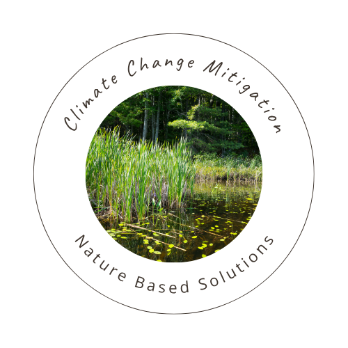 Resilient landscapes