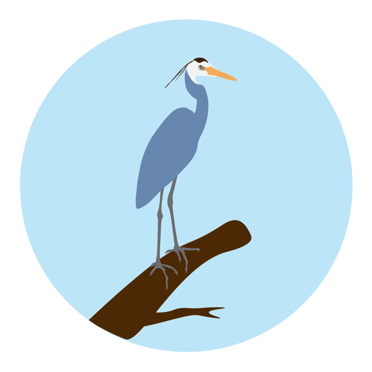 Water Health Nibi Circle-02 Water Health Nibi Circle-02